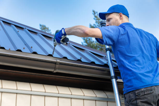 Best Sheet Metal Roofing  in Staples, MN