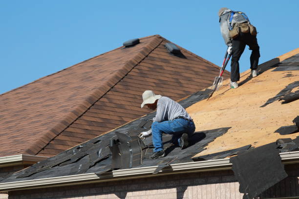 Best Roof Leak Repair  in Staples, MN