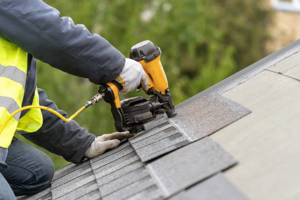 Best Solar Panel Roofing Installation  in Staples, MN