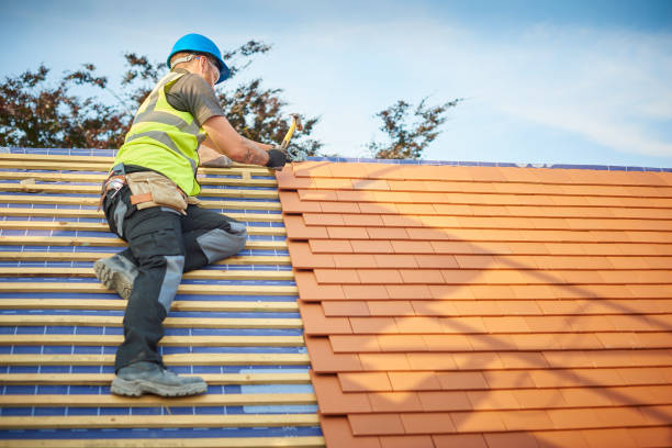 Best Commercial Roofing Services  in Staples, MN